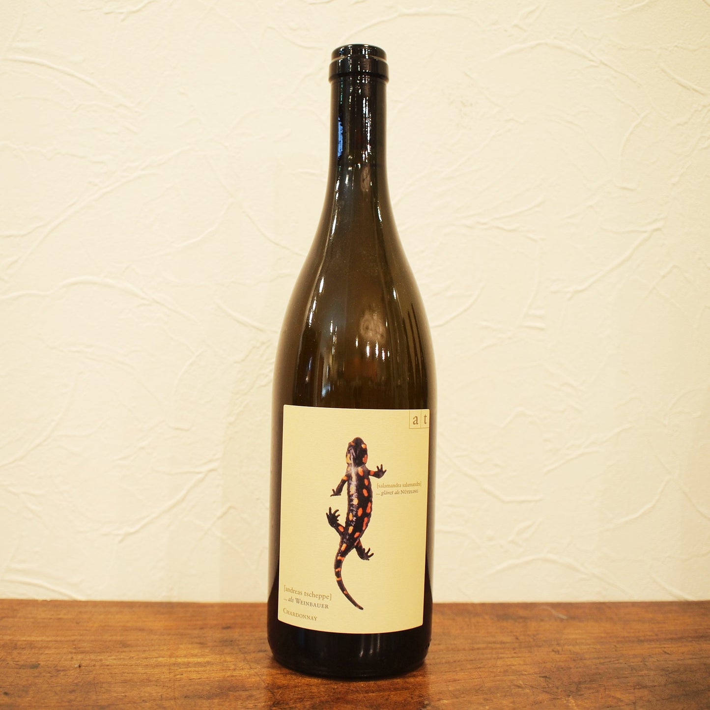 サラマンダー(トカゲ)2023 / アンドレアス・ツェッペ