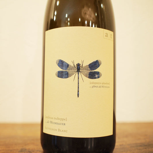 ブラワー・リベル（青トンボ） 2023 / アンドレアス・ツェッペ