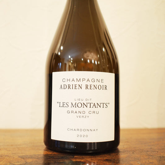 リューディー レ モンタン 2020 / アドリアン・ルノワール