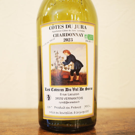 コート・デュ・ジュラ シャルドネ 2023 / ドメーヌ・レ・コトー・デュ・ヴァル・デ・ソルヌ