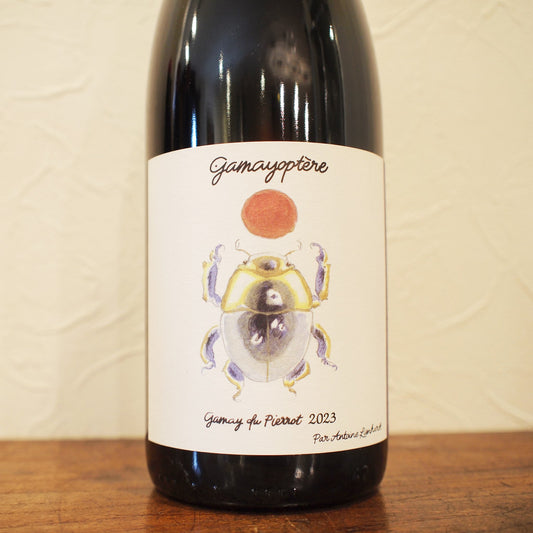 コトー･ブルギニョン ガメオプテール 2023 / アントワーヌ・リエナルト