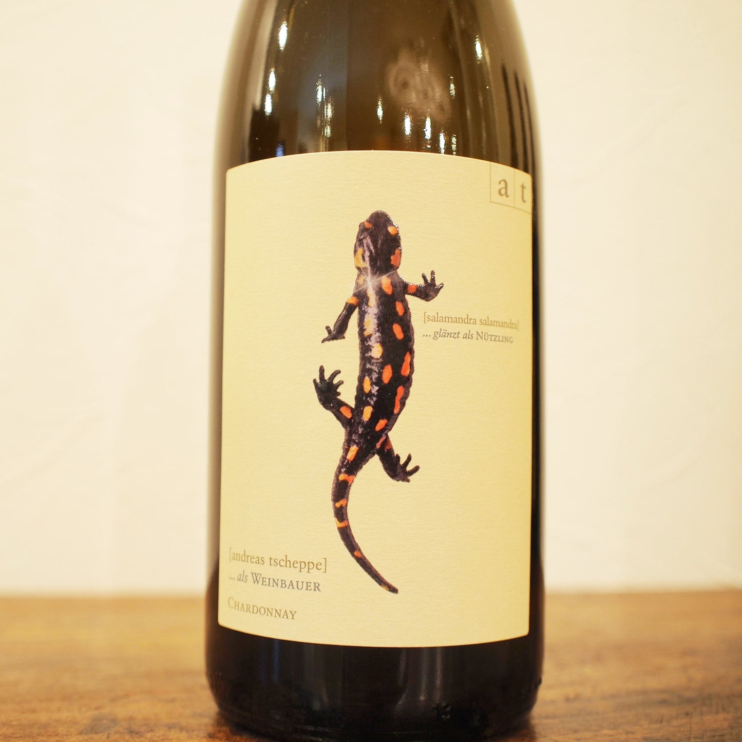 サラマンダー（トカゲ）2023 / アンドレアス・ツェッペ