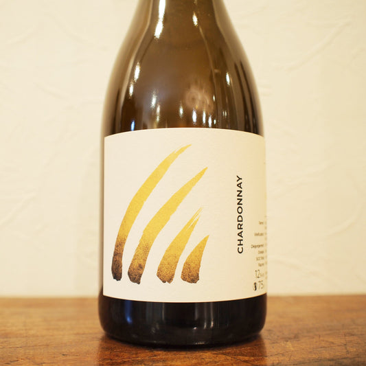 レ・クチュール 2021 / アンス