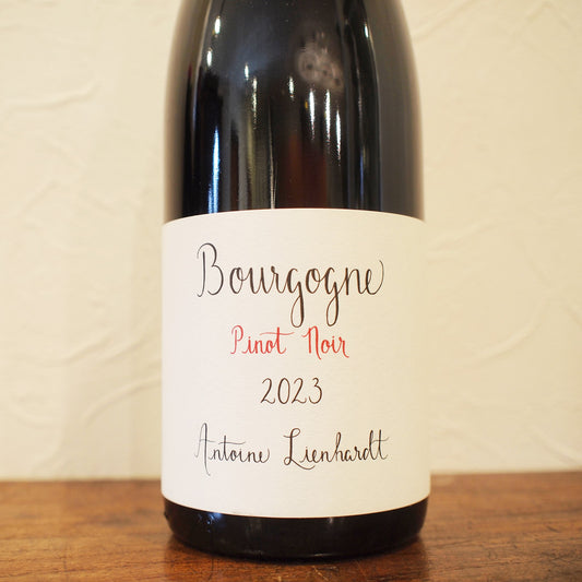 ブルゴーニュ・ピノ・ノワール 2023 / アントワーヌ・リエナルト
