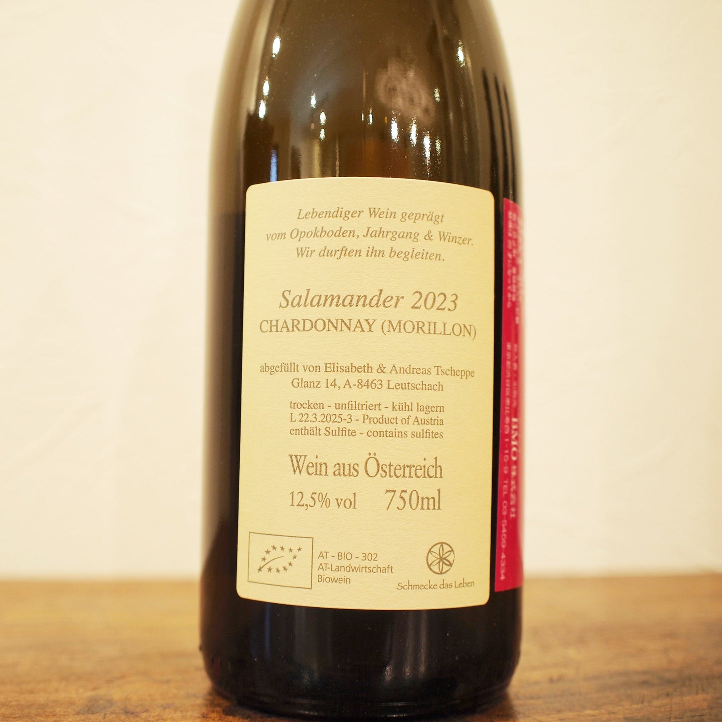 サラマンダー（トカゲ）2023 / アンドレアス・ツェッペ