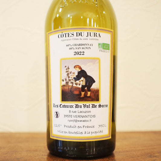 コート・デュ・ジュラ シャルドネ・サヴァニャン 2022 / ドメーヌ・レ・コトー・デュ・ヴァル・デ・ソルヌ