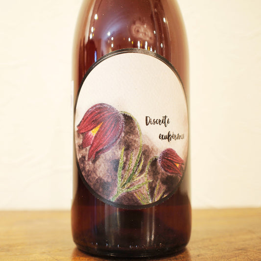 ディスクレット・エグジューべランス 2024 / オキシモア（ギルエム・オンリオ＆レミ・トマ）